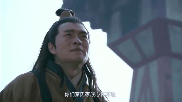 新三国蔡氏扮演者_新三国蔡氏扮演者是谁