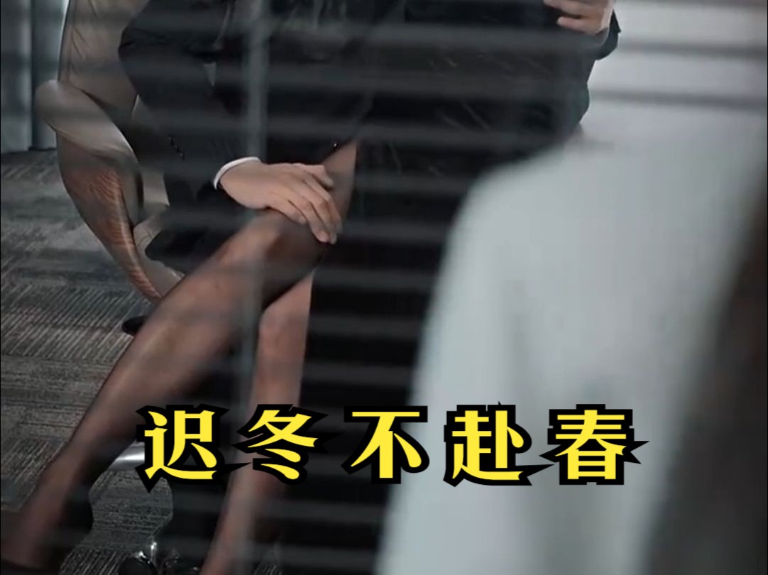 迟冬不赴春_迟冬不赴春完整版免费
