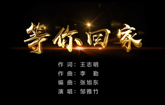 等你回家_等你回家电视剧35集免费观看