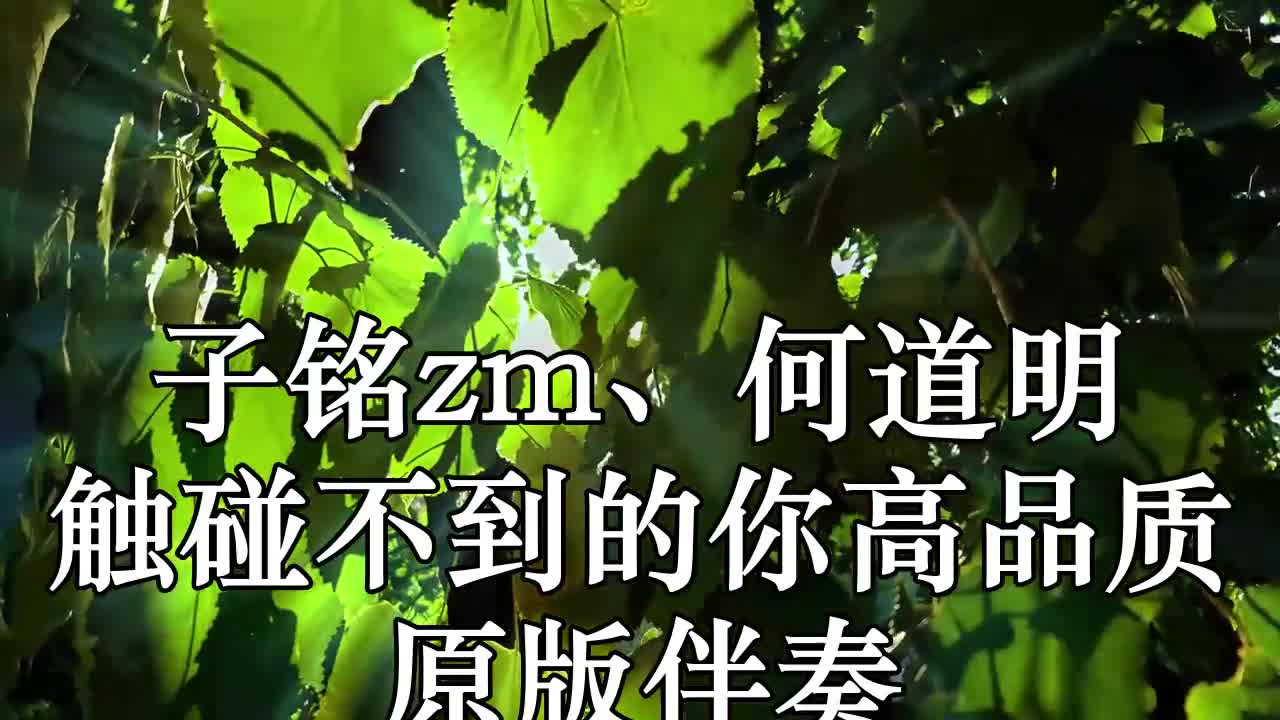 触碰不到的你_触碰不到的你歌词