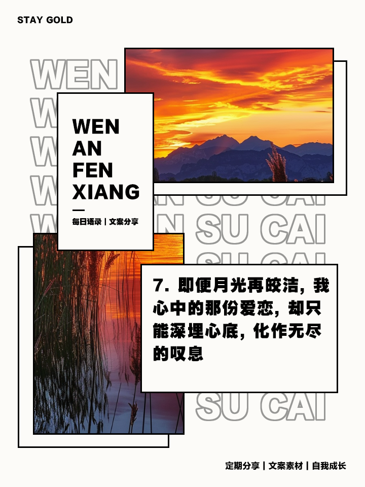 对不起我不是你的白月光_对不起我不是你的白月光是什么歌