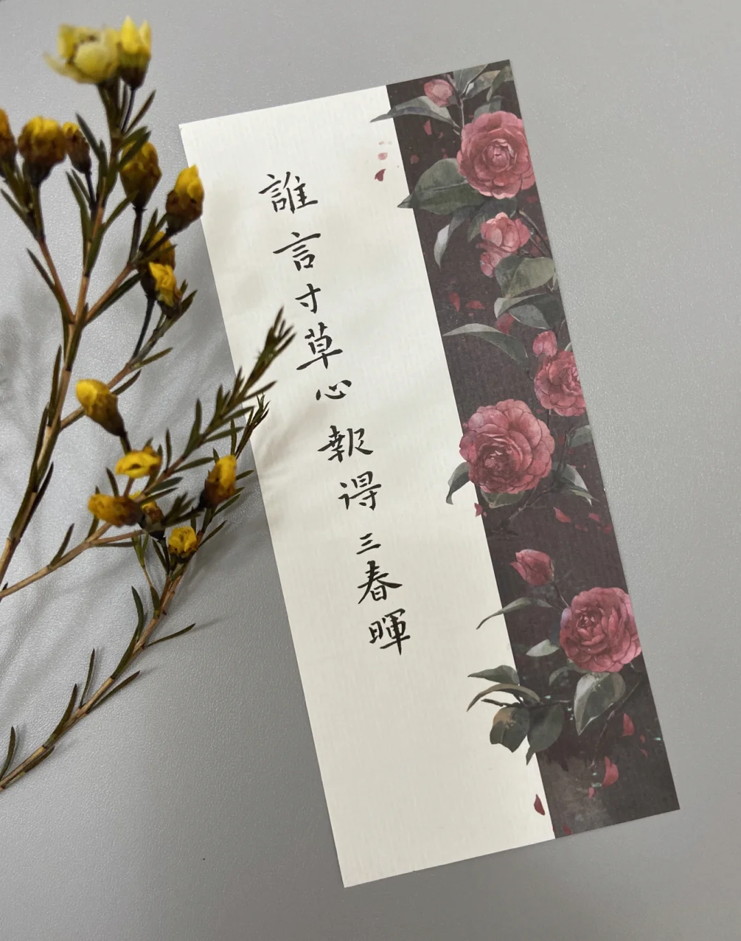 报得三春晖短剧_报得三春晖短剧免费观看第20集