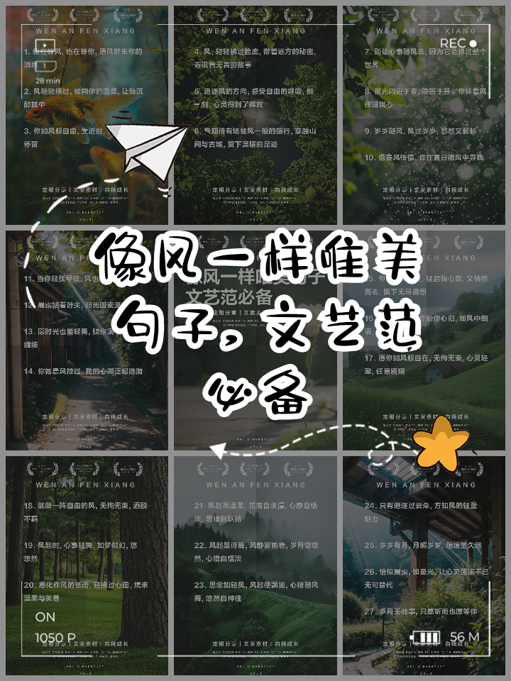 等风等轻轻_等风等轻轻男主扮演者是谁