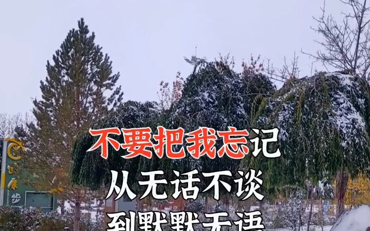 安小姐：我的世界不能没有你_安小姐我的世界不能没有你短剧