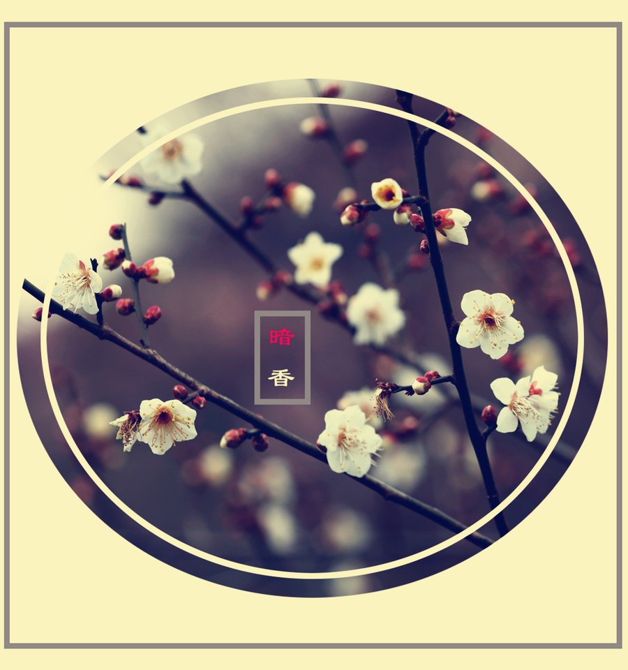 暗香_暗香app怎么下载