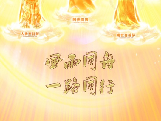 从此风雨不同舟_从此风雨不同舟短剧50