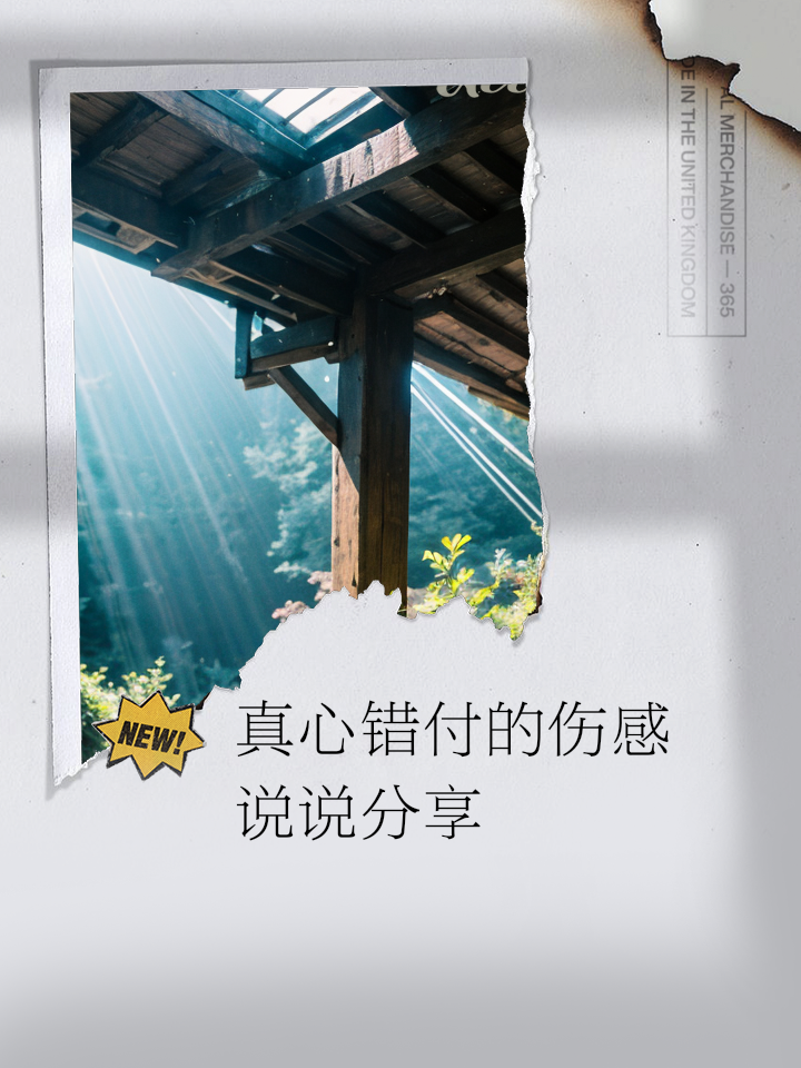 曾将真心错付_曾将真心错付短剧