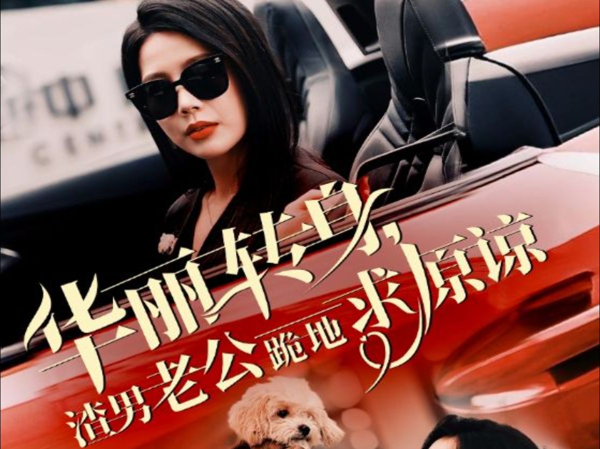 保洁妻的华丽转身_保洁妻的华丽转身小说