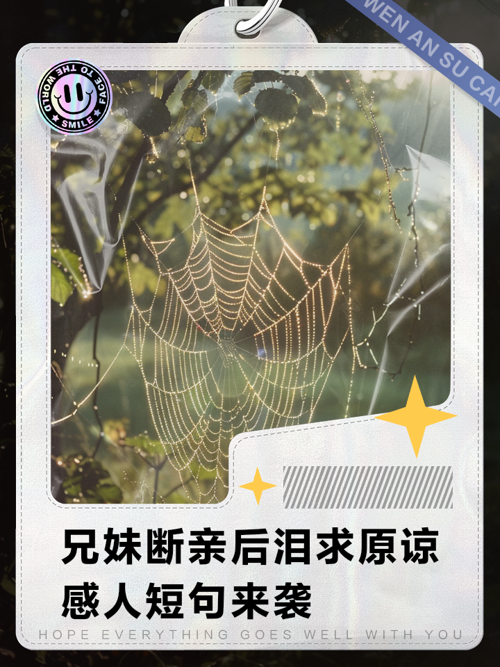 断亲后，哥哥们哭着求原谅_断亲后,哥哥们哭着求原谅小说