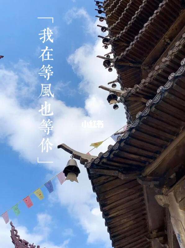 等风也等你_等风也等你短剧