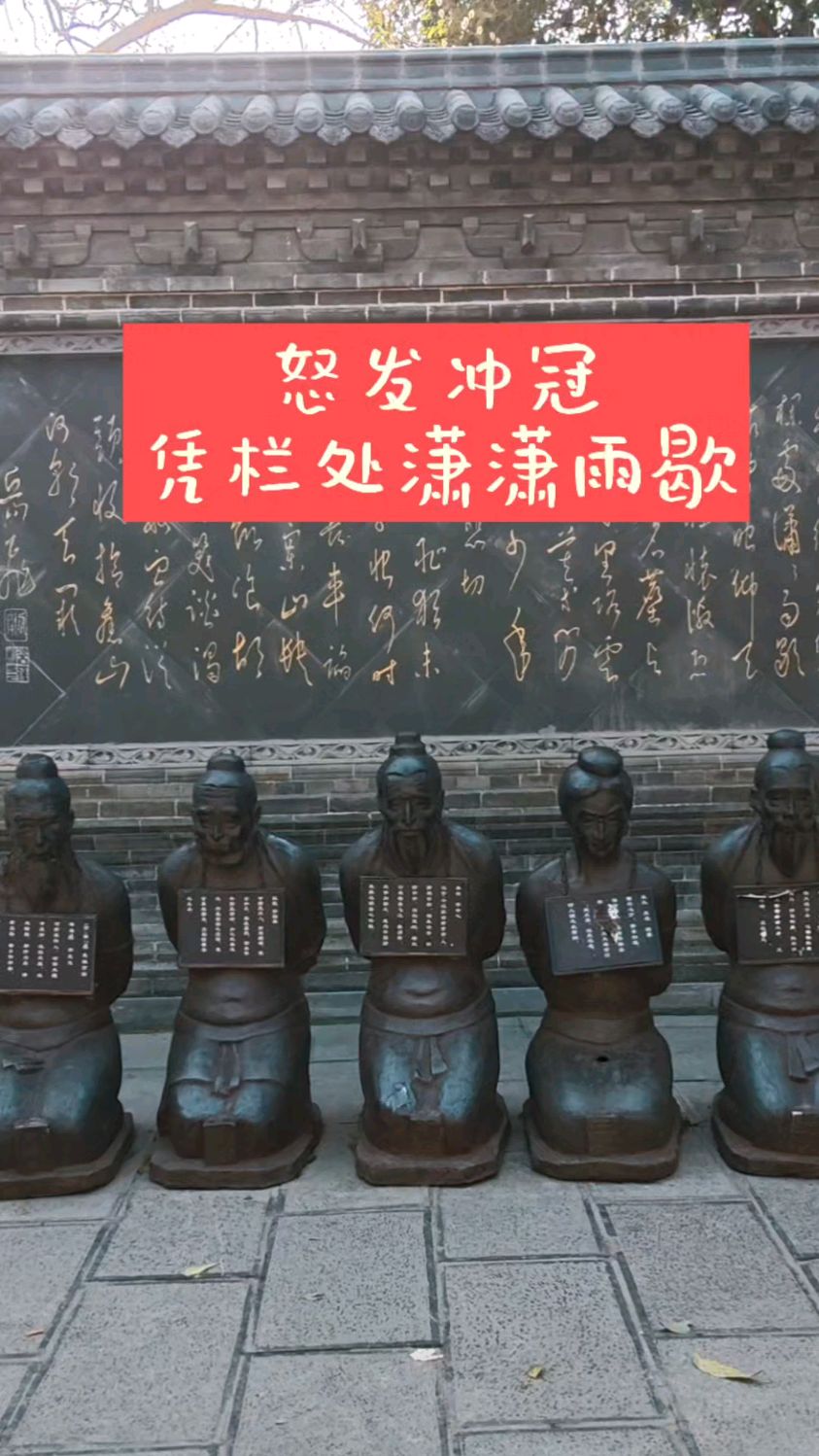 冲冠怒_冲冠怒短剧全集免费观看