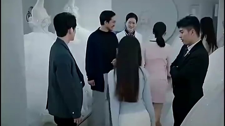 飞花轻似梦_飞花轻似梦短剧