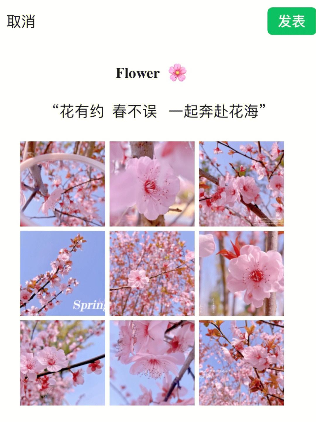 春暖花开短剧_春暖花开短剧陈博瑶瑶免费