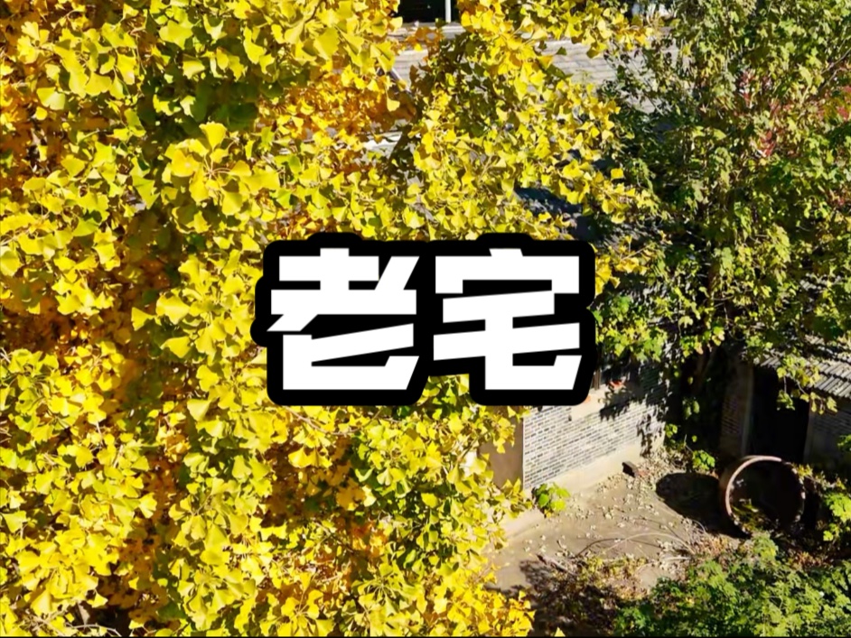 爹，我回来了_爹我回来了免费观看全集