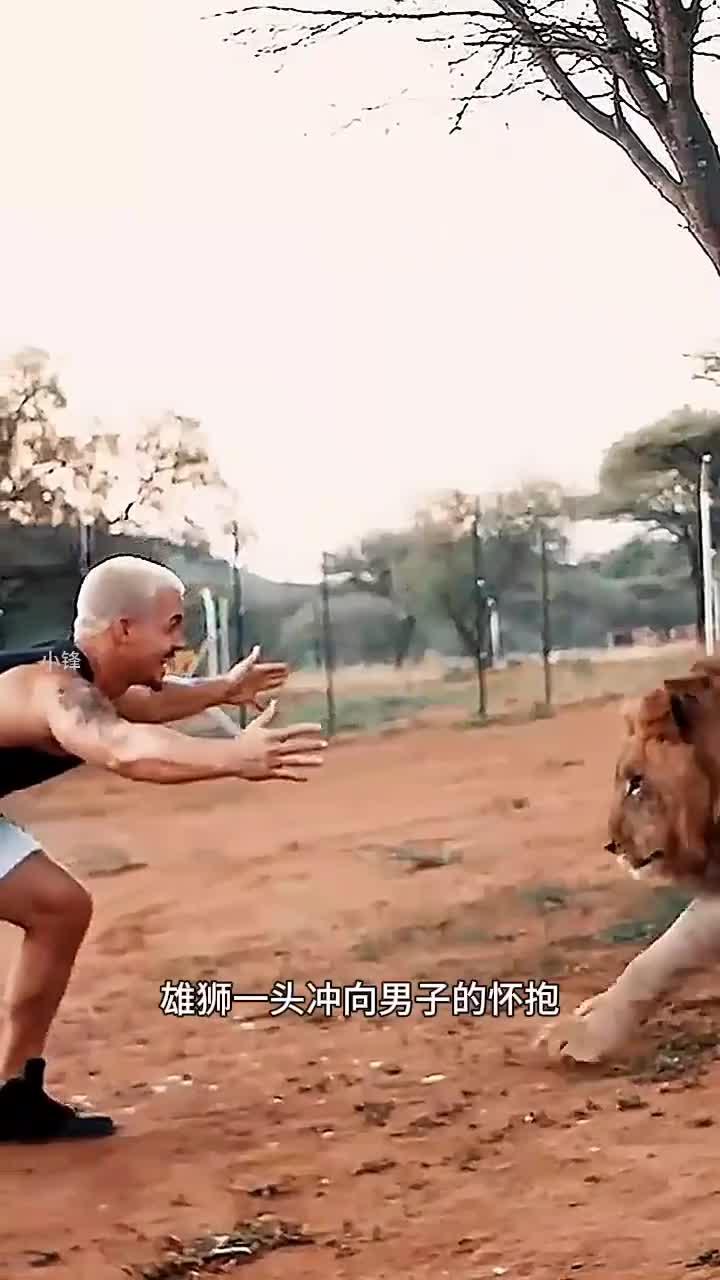 翻滚吧雄狮_翻滚吧雄狮演员表