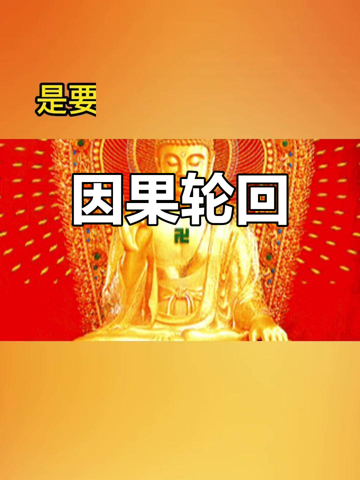 错位因果_错因果是什么意思