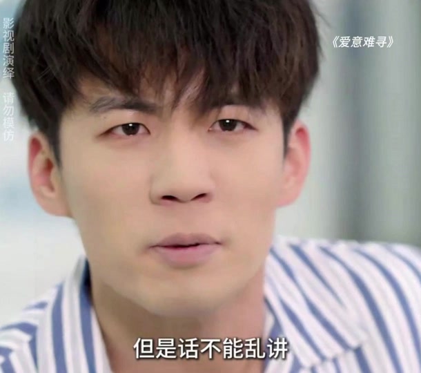 爱意难寻_爱意难寻男主角是谁扮演的