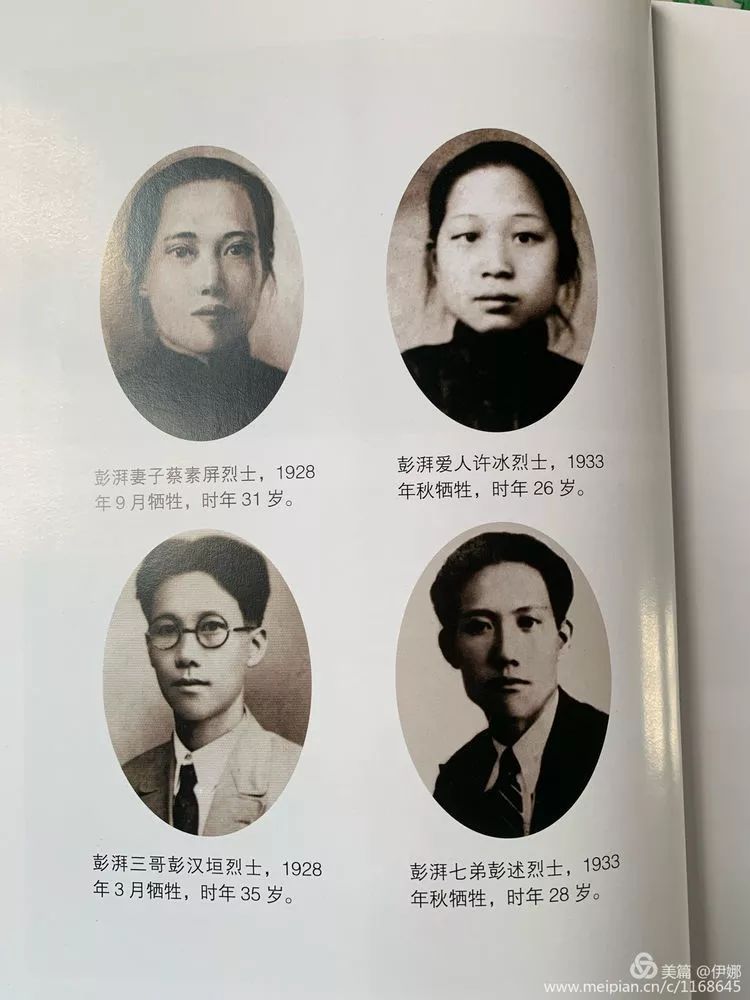 处理1000个叛徒才能退休的夜帝_处理1000个叛徒才能退休的夜帝剧情介绍