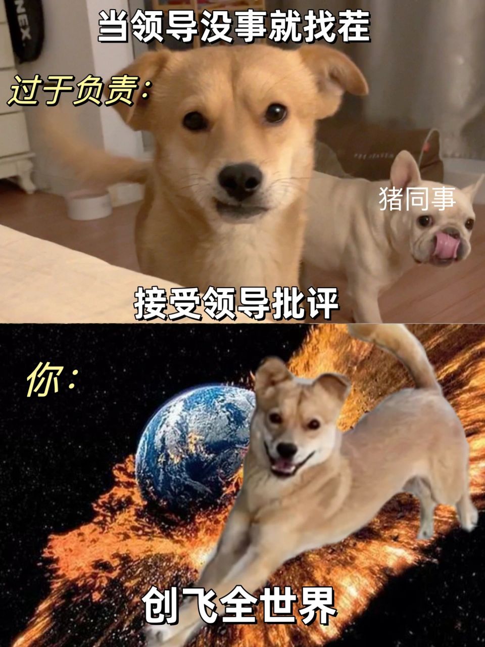查出绝症后，我创飞全世界_查出绝症后我创飞全世界短剧