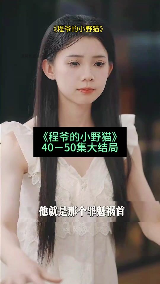 程爷的小野猫_程爷的小野猫大结局