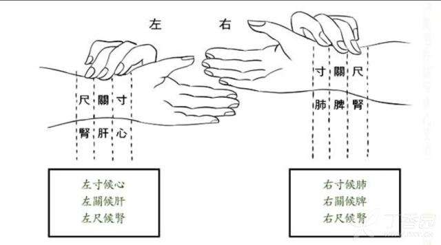 把脉看出你前世_把脉能看出身体的健康状况