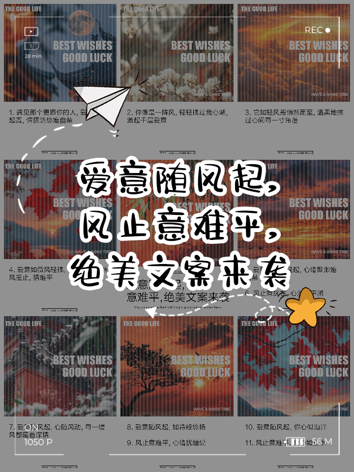 爱意随风起风止意难平_爱意随风起风止意难平出自哪里