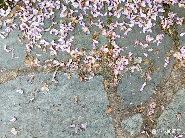 春泥_春泥古诗