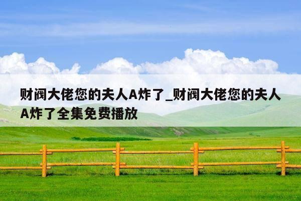 财阀大佬您的夫人A炸了_财阀大佬您的夫人A炸了全集免费播放