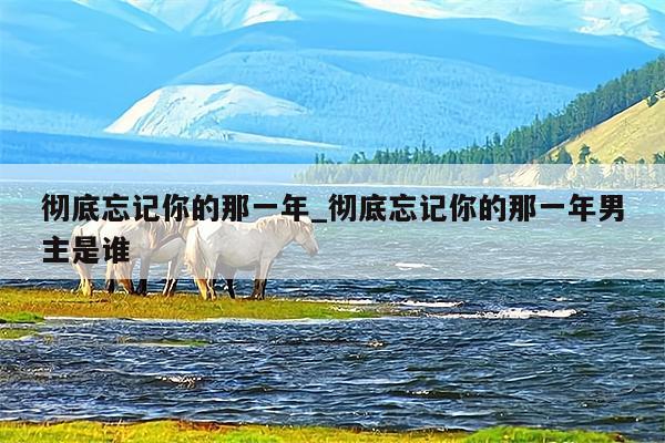 彻底忘记你的那一年_彻底忘记你的那一年男主是谁