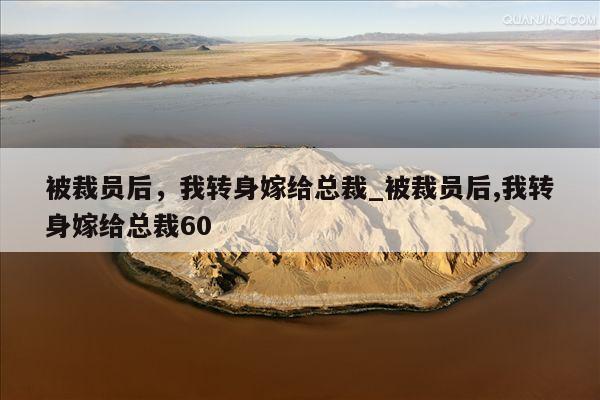 被裁员后，我转身嫁给总裁_被裁员后,我转身嫁给总裁60
