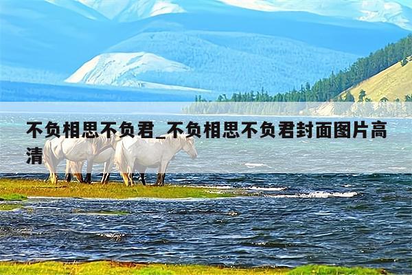 不负相思不负君_不负相思不负君封面图片高清