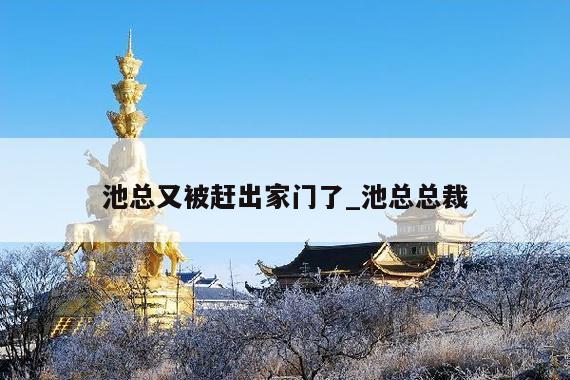 池总又被赶出家门了_池总总裁