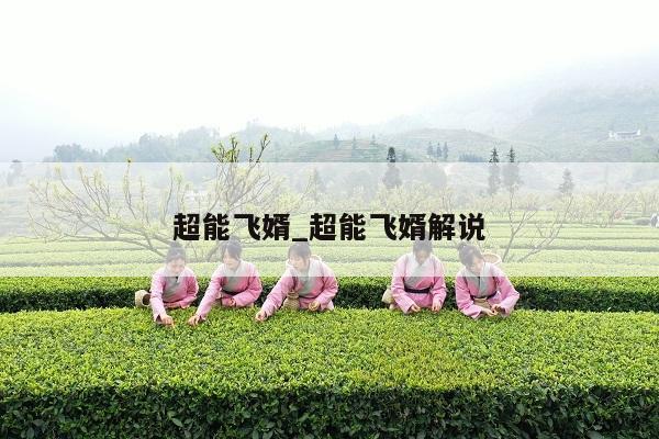 超能飞婿_超能飞婿解说