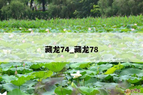 藏龙74_藏龙78