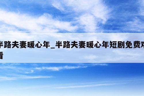 半路夫妻暖心年_半路夫妻暖心年短剧免费观看