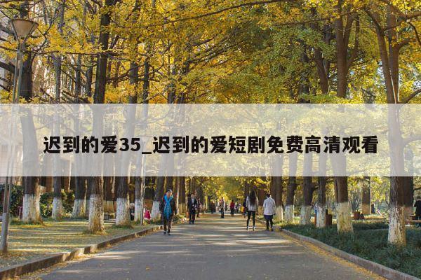 迟到的爱35_迟到的爱短剧免费高清观看