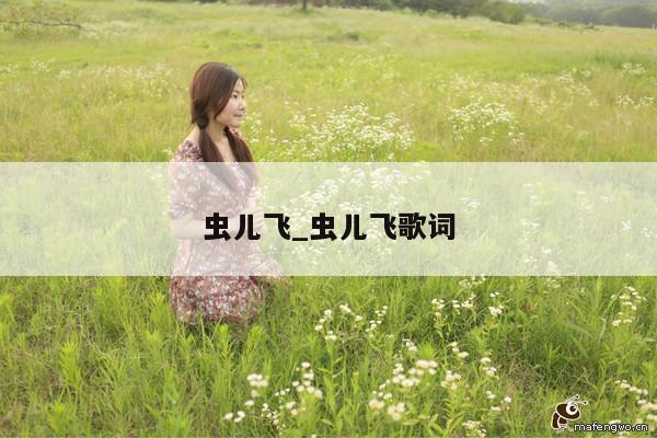 虫儿飞_虫儿飞歌词