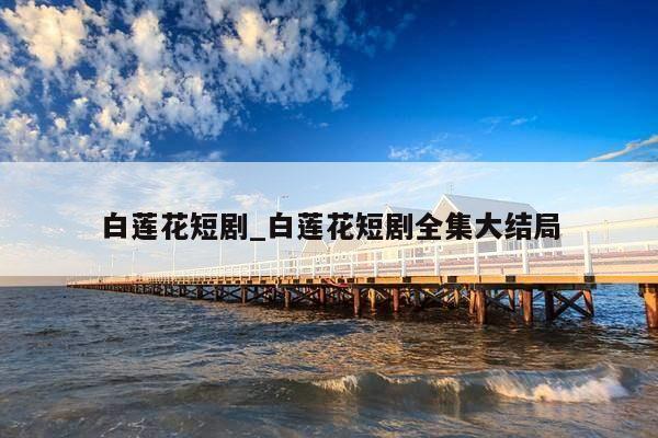 白莲花短剧_白莲花短剧全集大结局