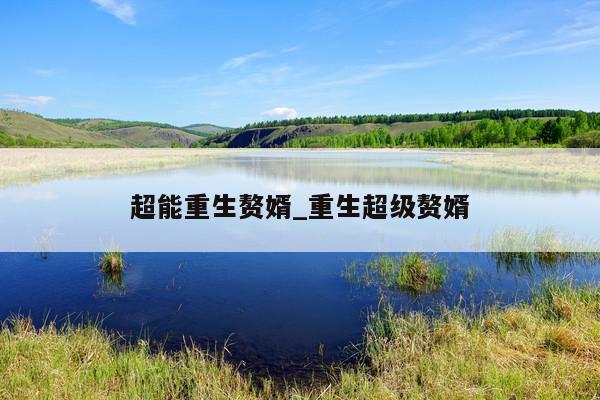 超能重生赘婿_重生超级赘婿