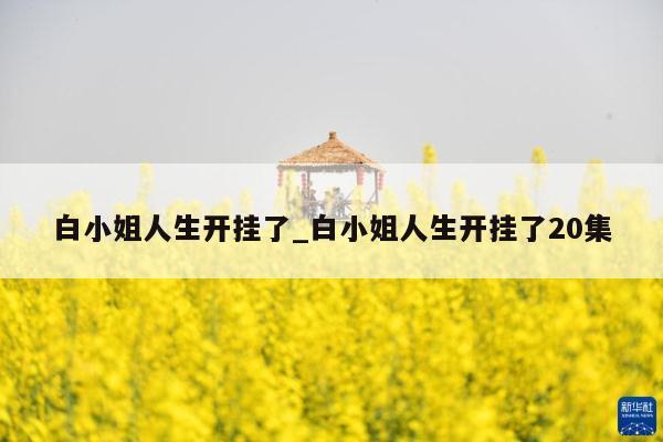 白小姐人生开挂了_白小姐人生开挂了20集