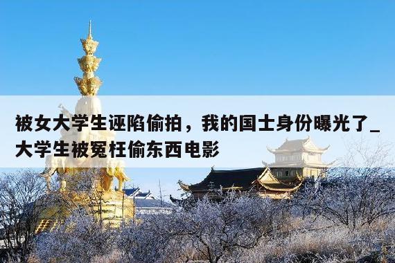 被女大学生诬陷偷拍，我的国士身份曝光了_大学生被冤枉偷东西电影