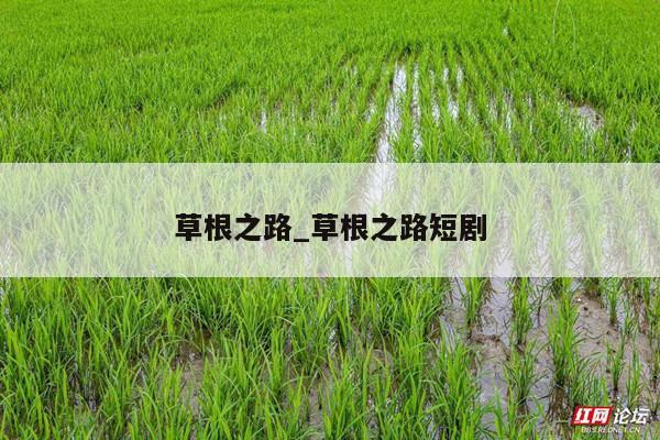 草根之路_草根之路短剧