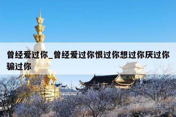 曾经爱过你_曾经爱过你恨过你想过你厌过你骗过你