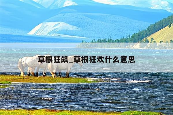 草根狂飙_草根狂欢什么意思