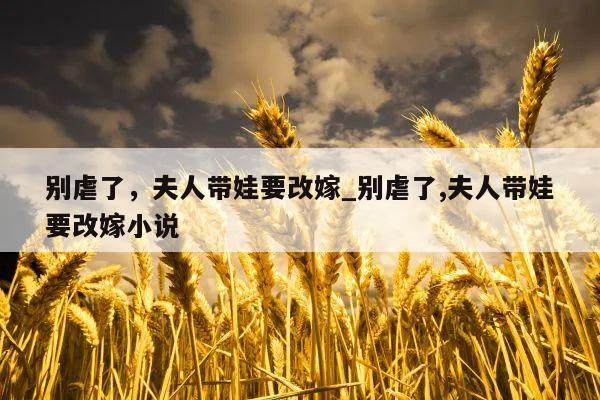 别虐了，夫人带娃要改嫁_别虐了,夫人带娃要改嫁小说