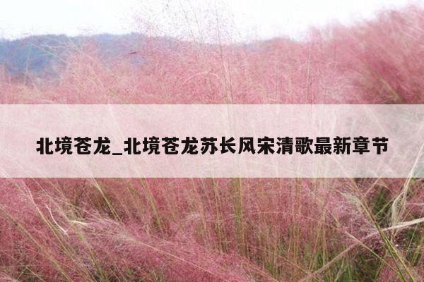 北境苍龙_北境苍龙苏长风宋清歌最新章节