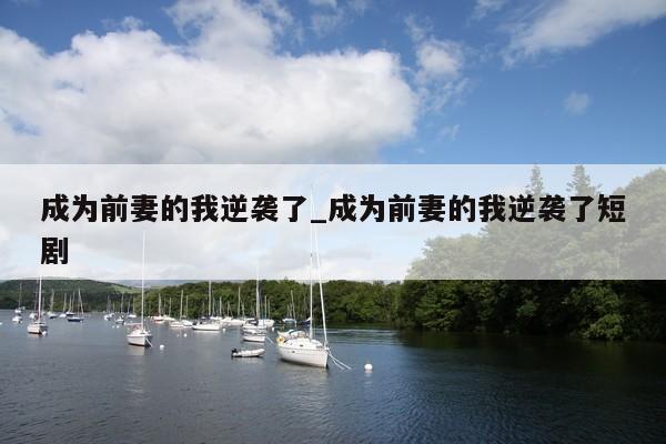 成为前妻的我逆袭了_成为前妻的我逆袭了短剧