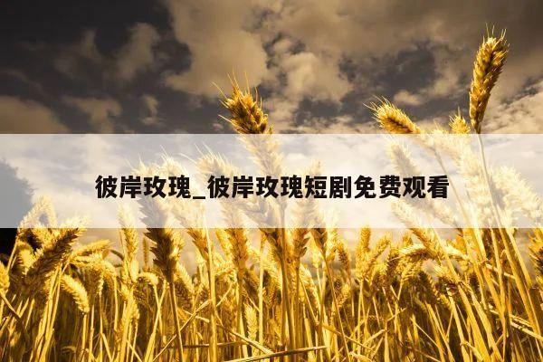 彼岸玫瑰_彼岸玫瑰短剧免费观看