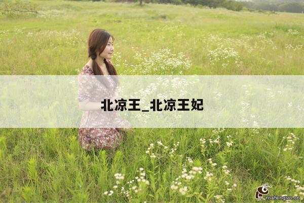 北凉王_北凉王妃