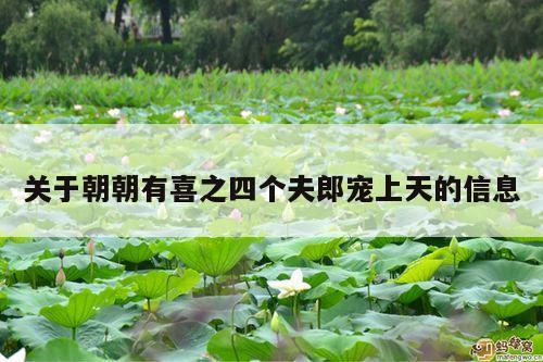 关于朝朝有喜之四个夫郎宠上天的信息